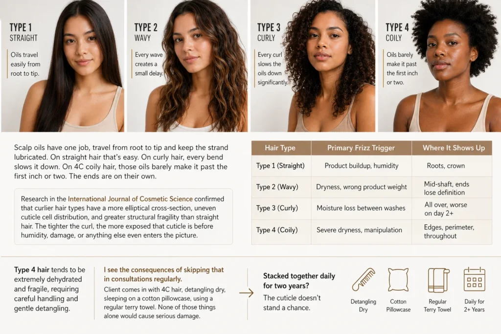 comparison of frizzy hair across type 1 straight to type 4 coily showing where frizz appears in each hair type 